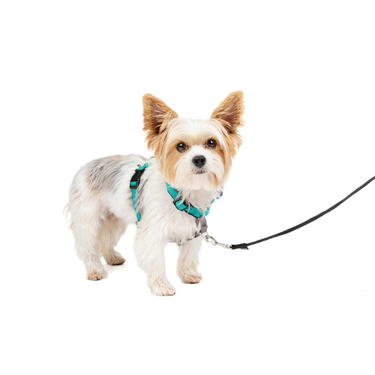 3 in 1 Harness J2099