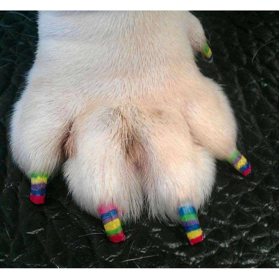 Dog Nail Polish Pen W29647