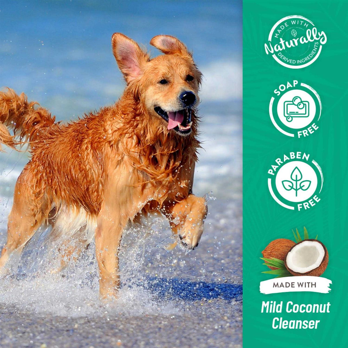 Coconut Shampoo P35383