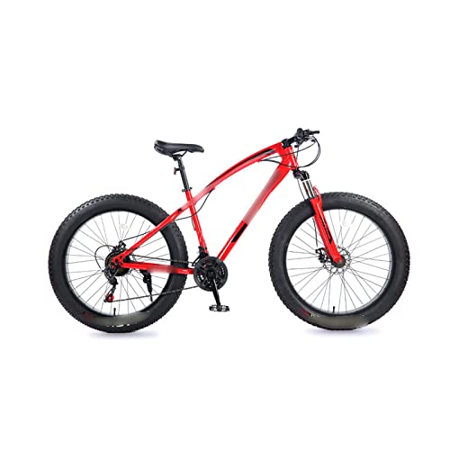 Electric Mountain Bike with Fat Tire G86955