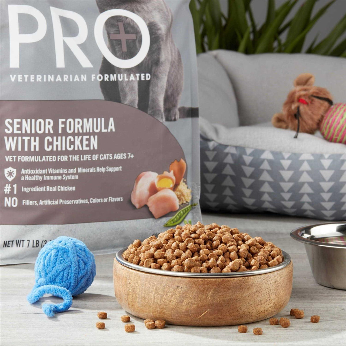 Senior Formula Chicken Dry Cat Food N84208