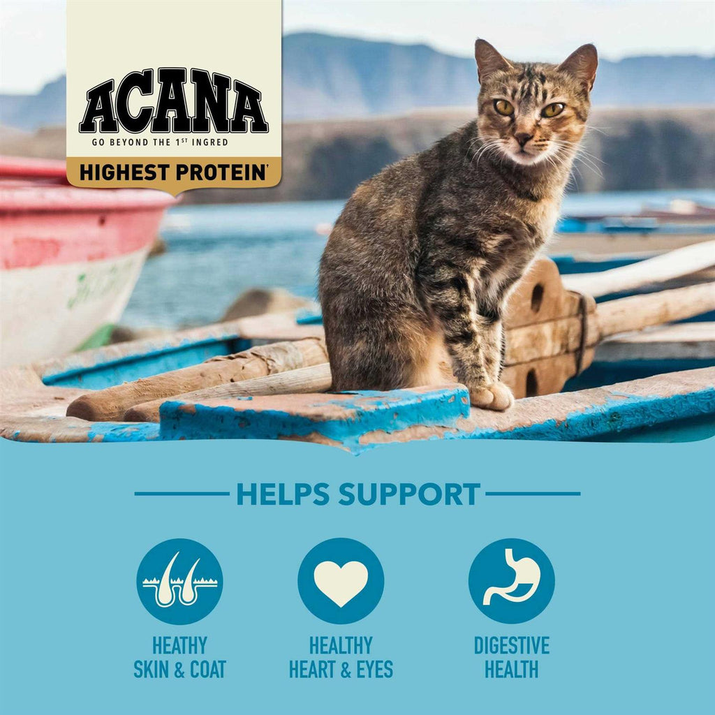Wild Atlantic Dry Cat Food K1803