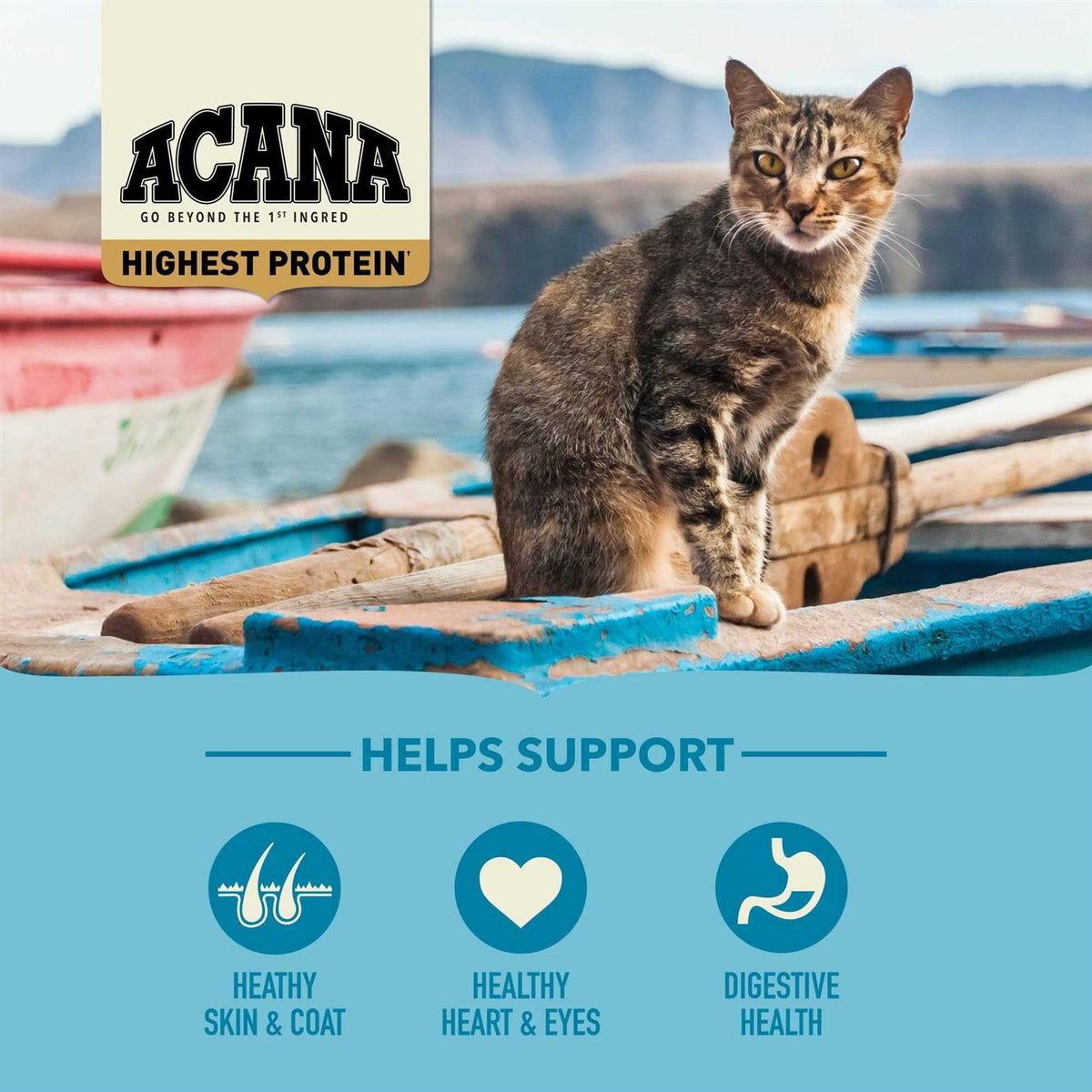 Wild Atlantic Dry Cat Food K1803