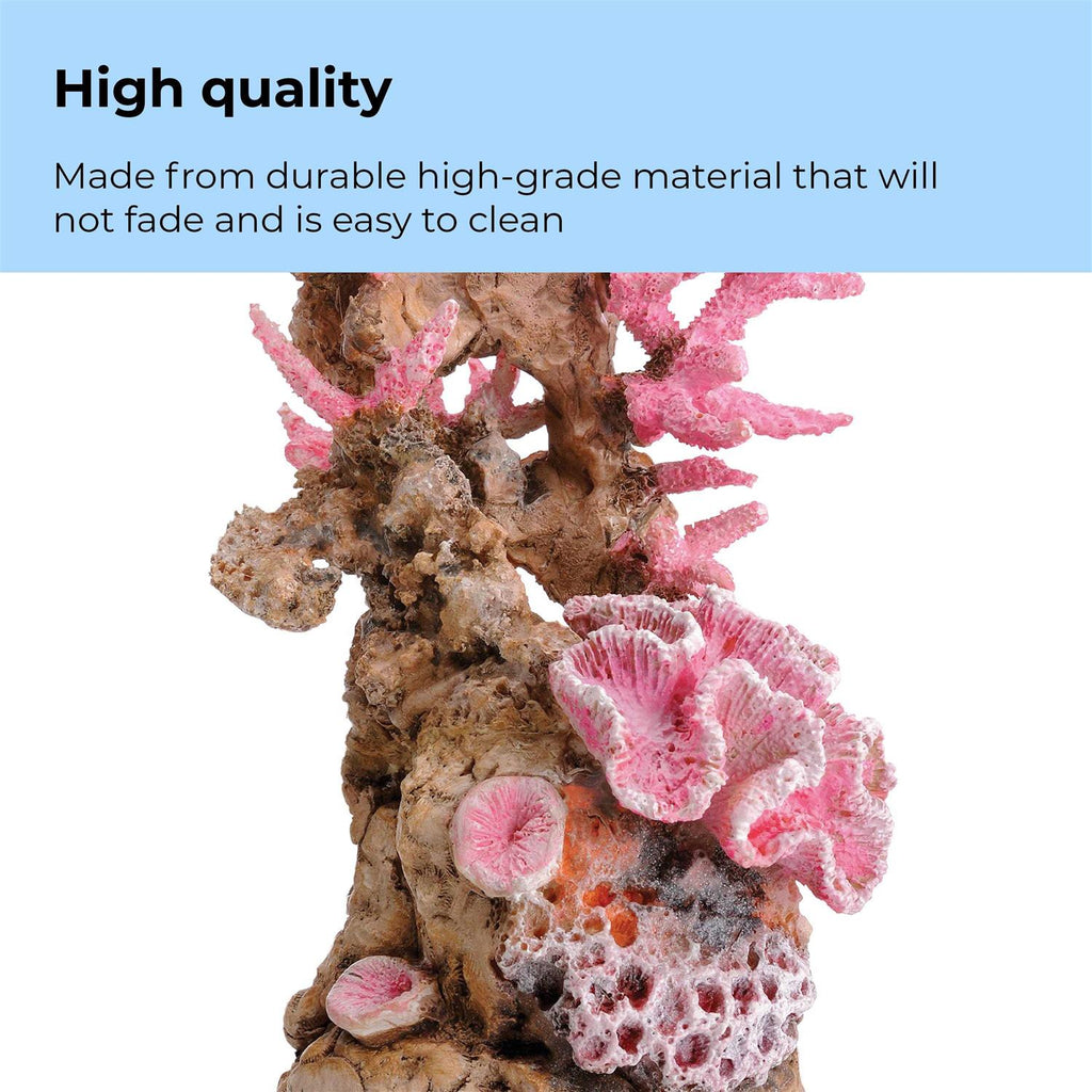 Reef Ornament Y9353