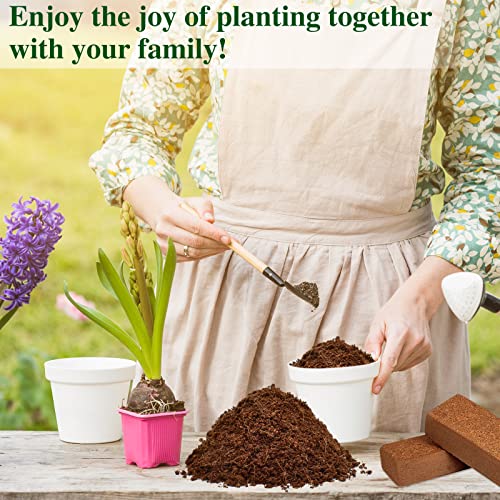 10 Pack 24 Gallons 14Lbs Compressed Coco Coir Potting Soil W47128