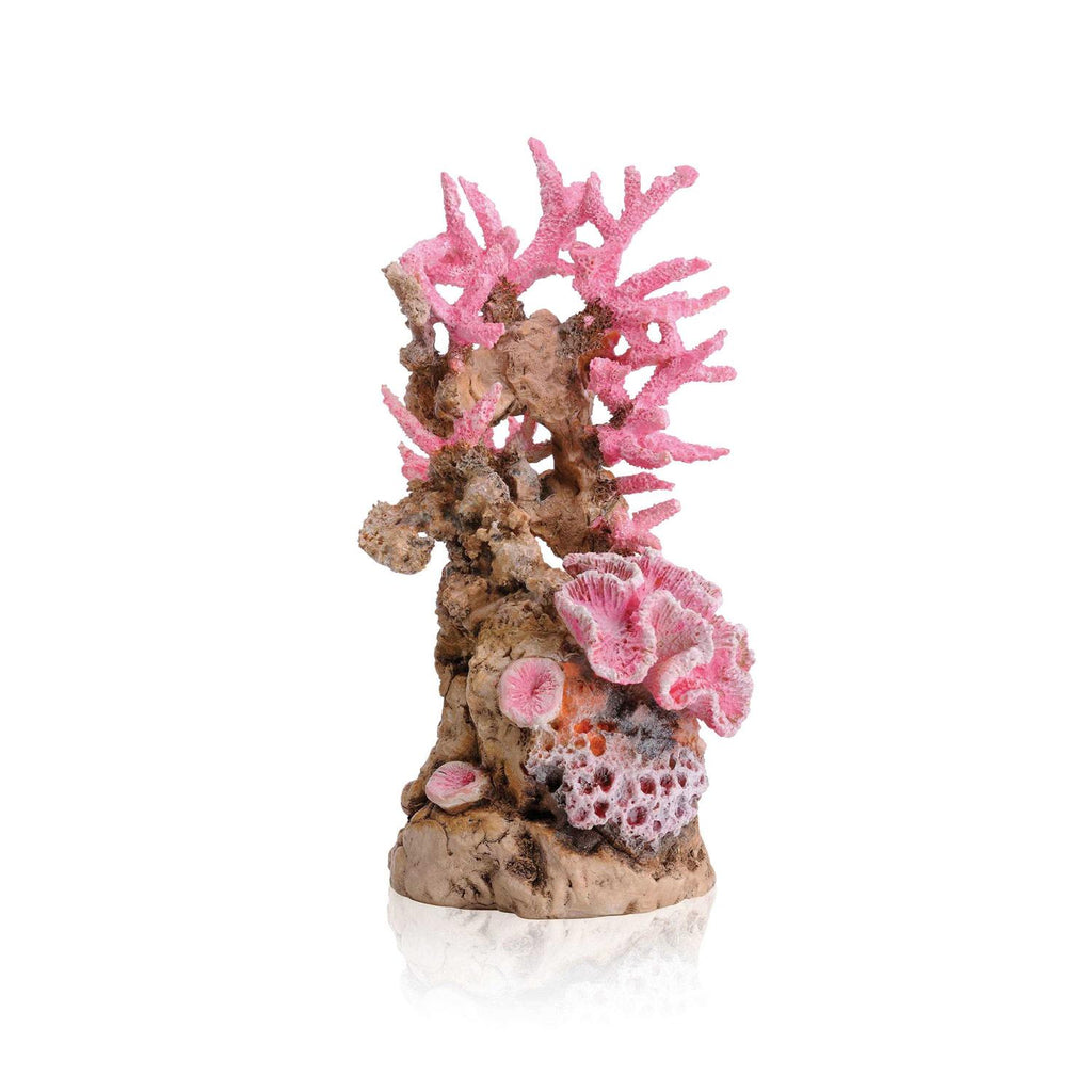 Reef Ornament Y9353