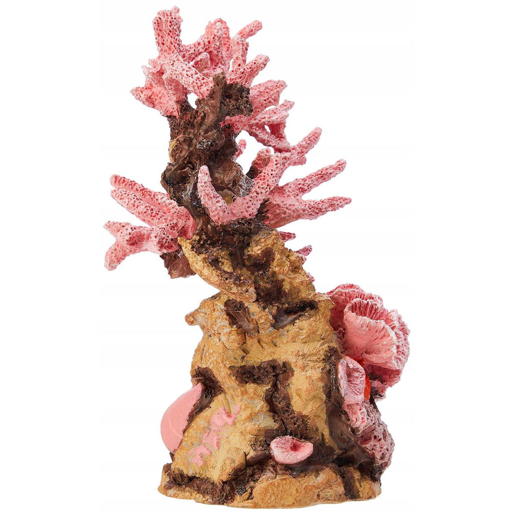 Reef Ornament Y9353
