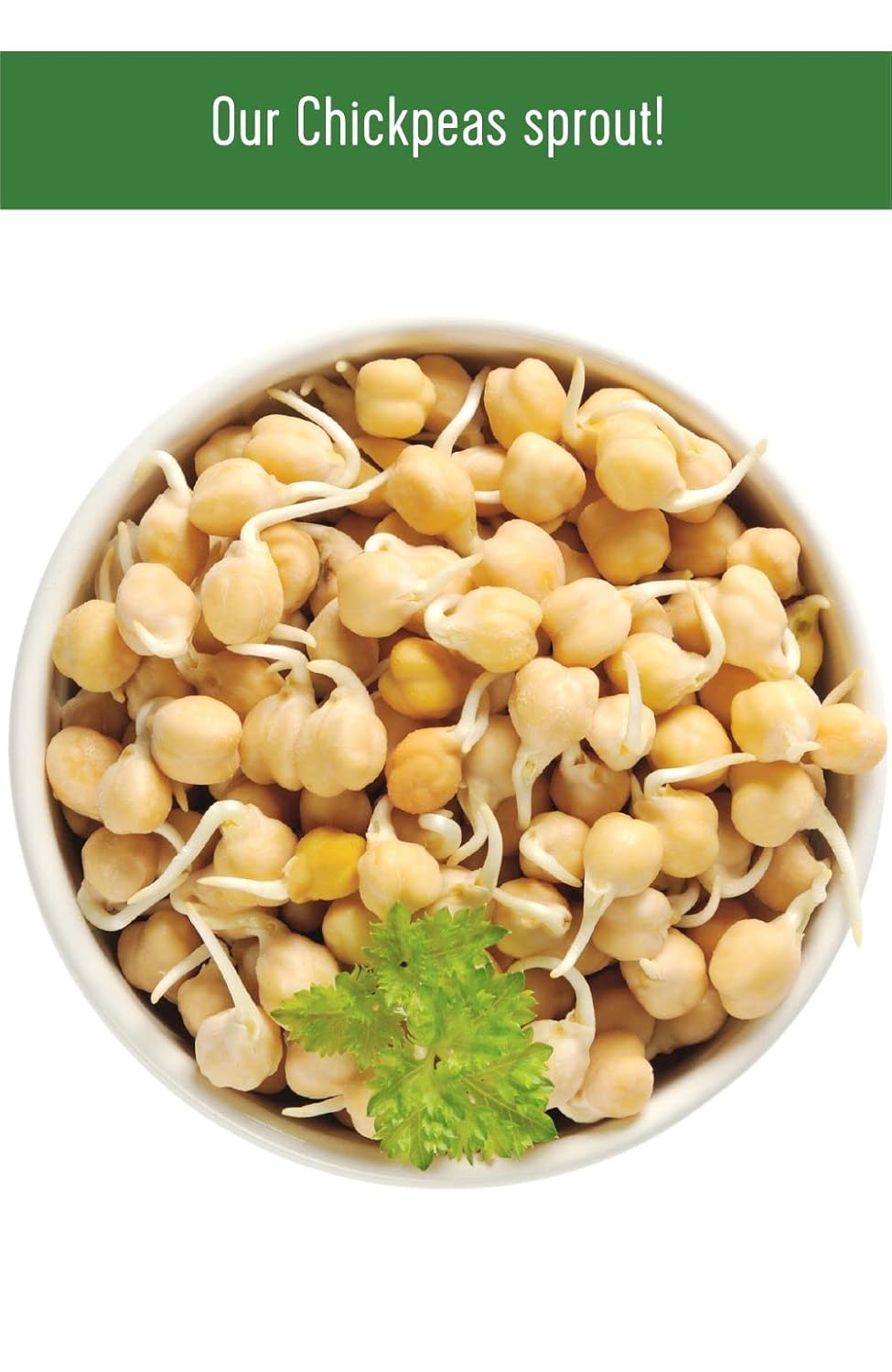 25 lbs Bulk Dried Chickpeas Garbanzo Beans M6124