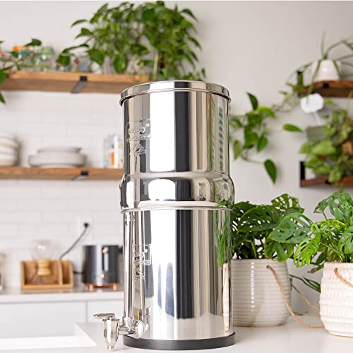 Gravity-Fed Water Filter System N3742
