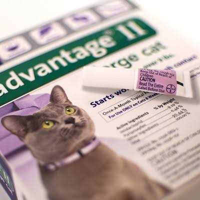 Advantage II Flea Treatment Cats B371938
