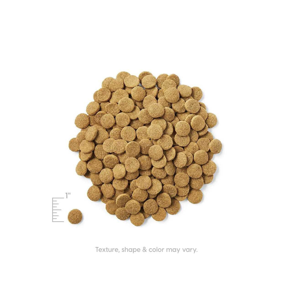 Solid Gold Hund-N-Flocken Dry Dog Food Lamb L11351