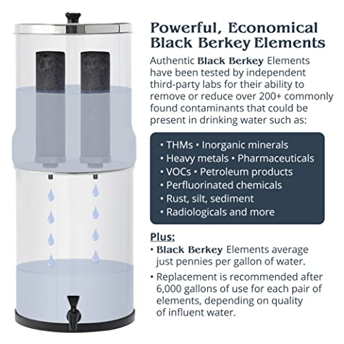 Gravity-Fed Water Filter System N3742