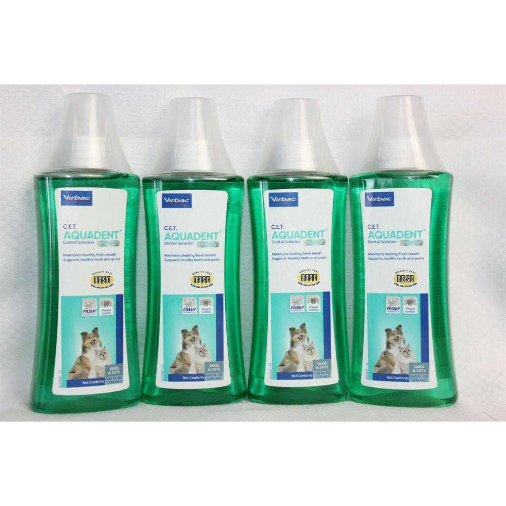 Fr3sh Dental Solution O7355