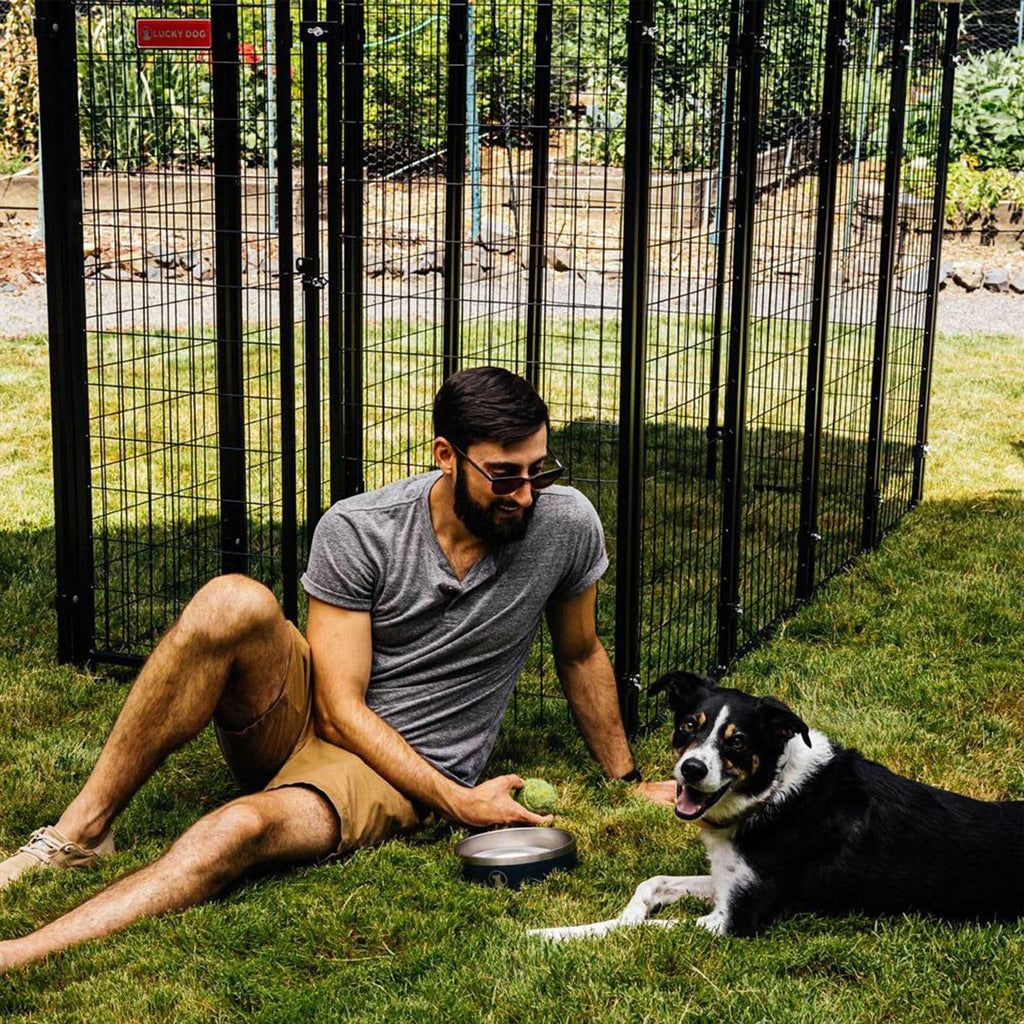 Dog Kennel E243