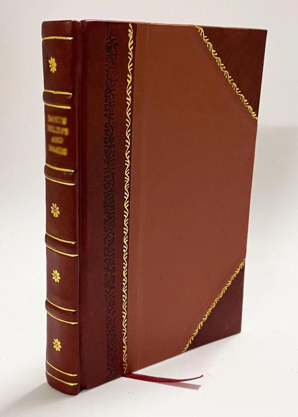 Women and Social Progress Leather Bound T2496