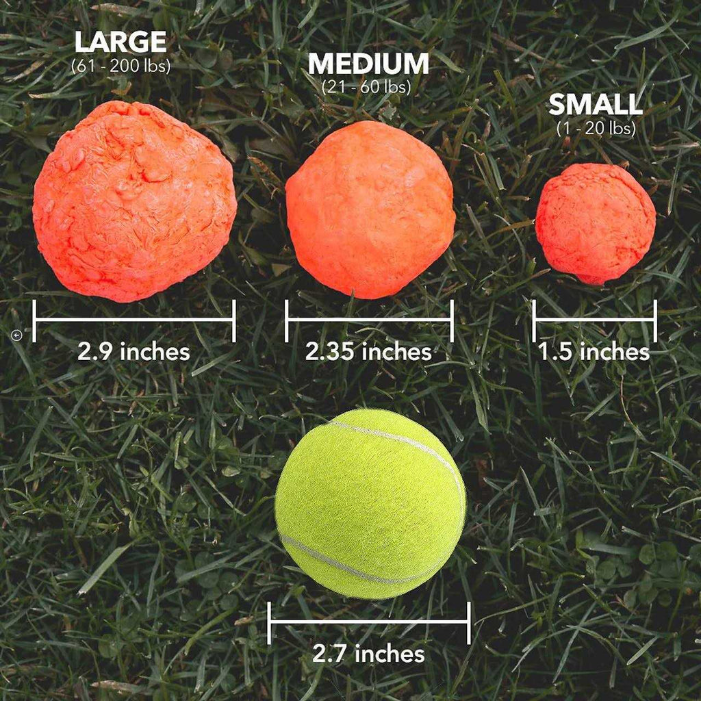 Dog Toy R702
