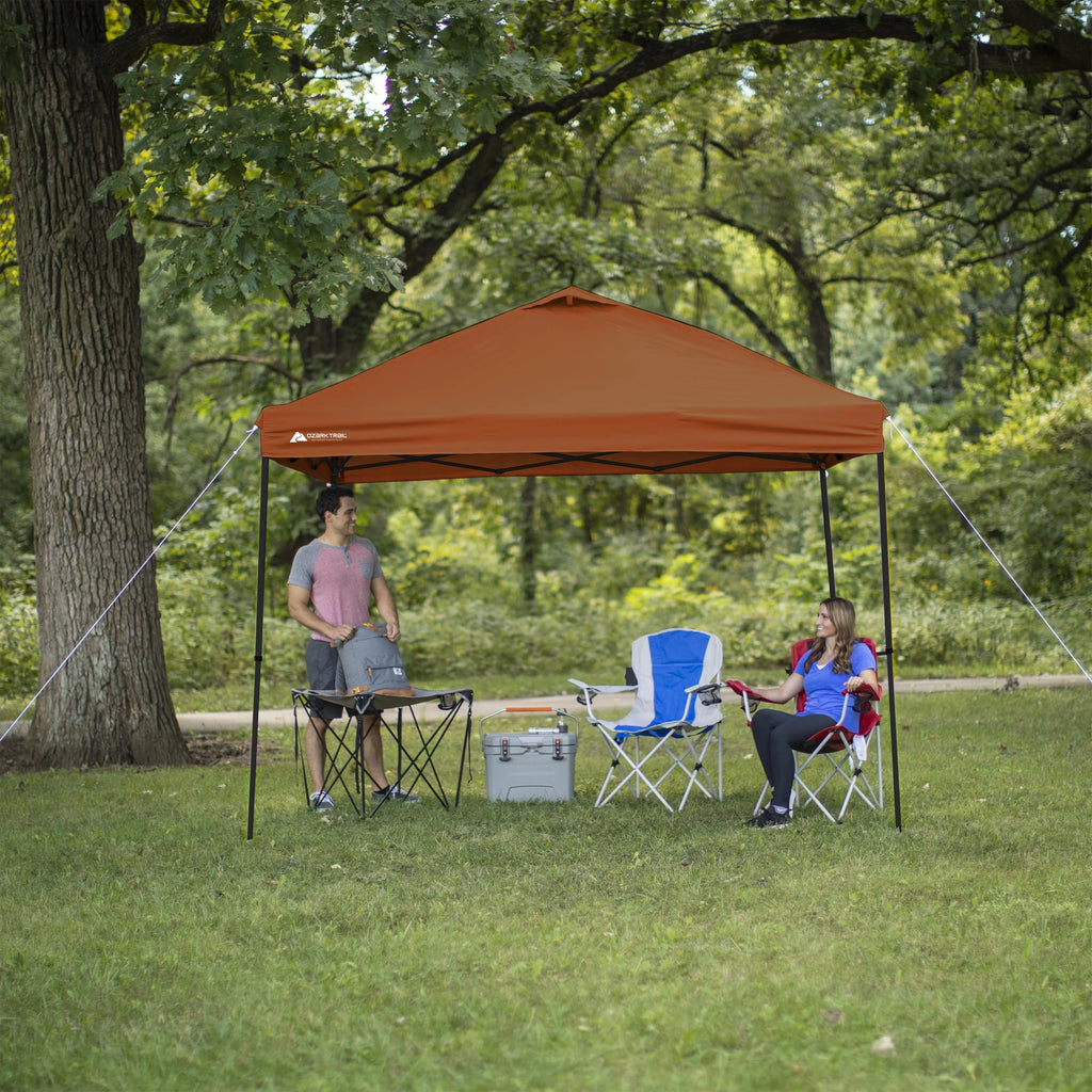10 ft x 10 ft White Instant Canopy P96406