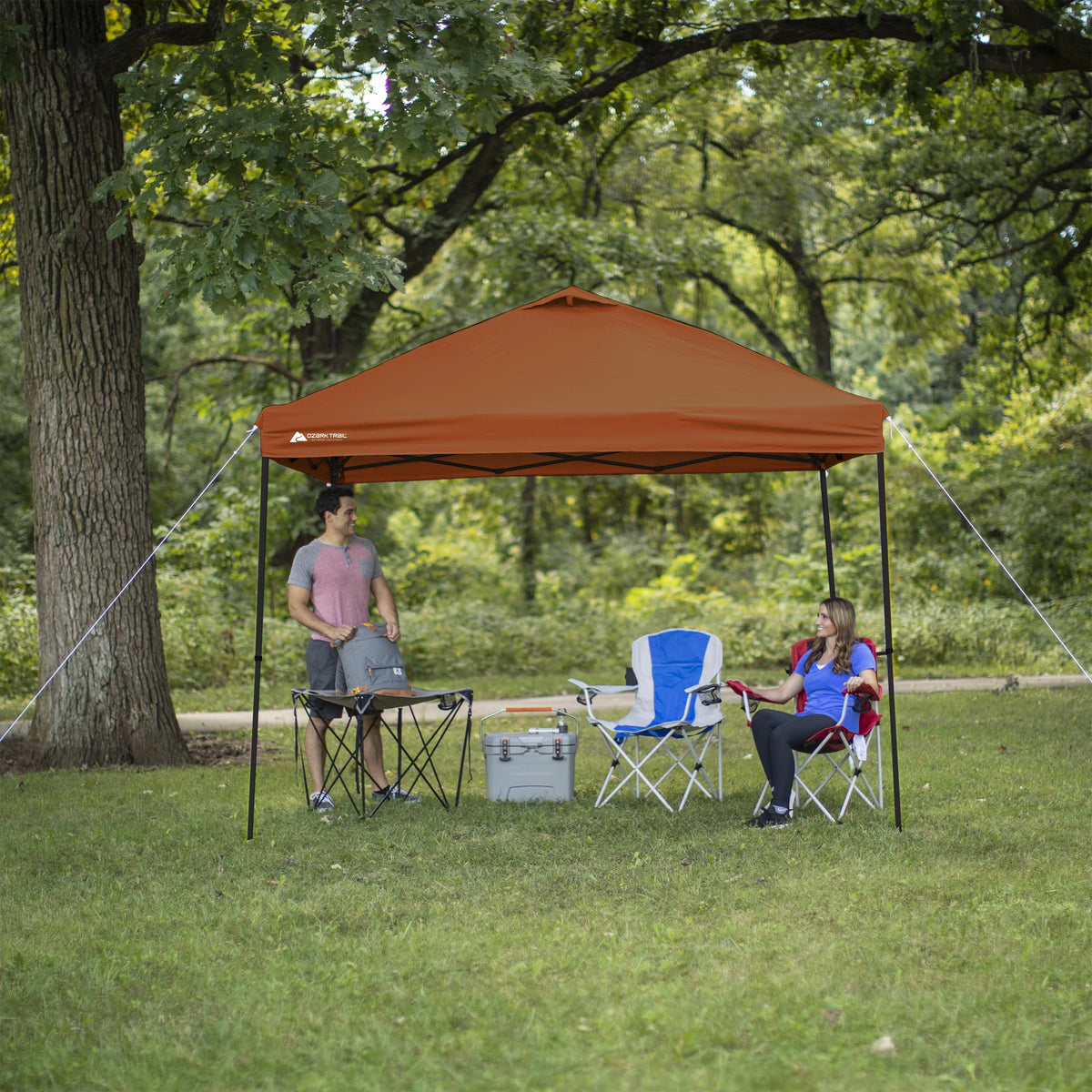 10 ft x 10 ft White Instant Canopy P96406
