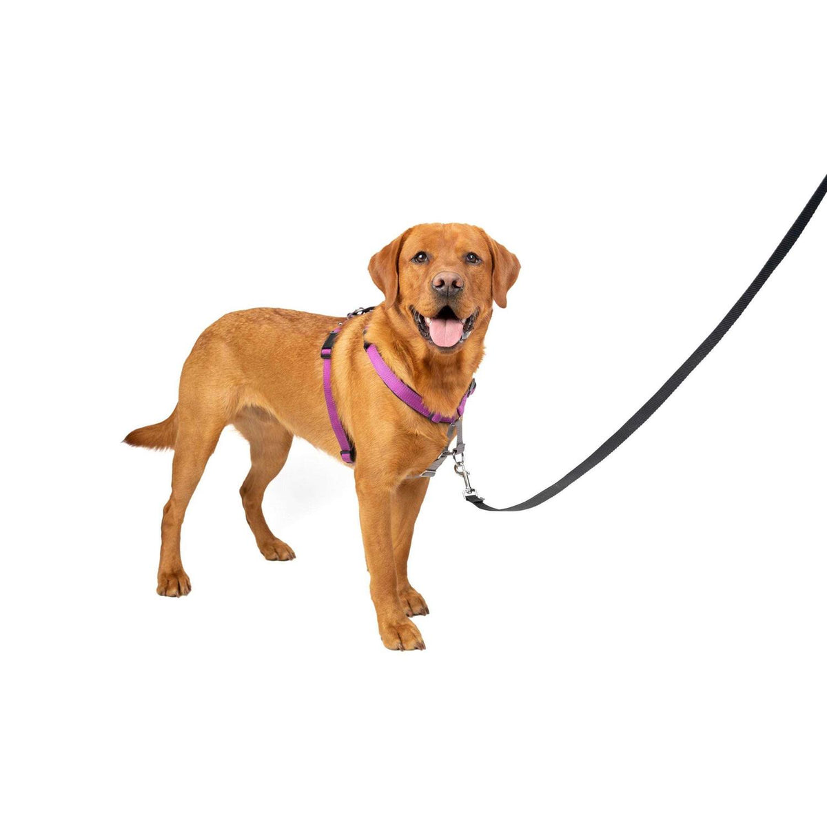 3 in 1 Harness J2099