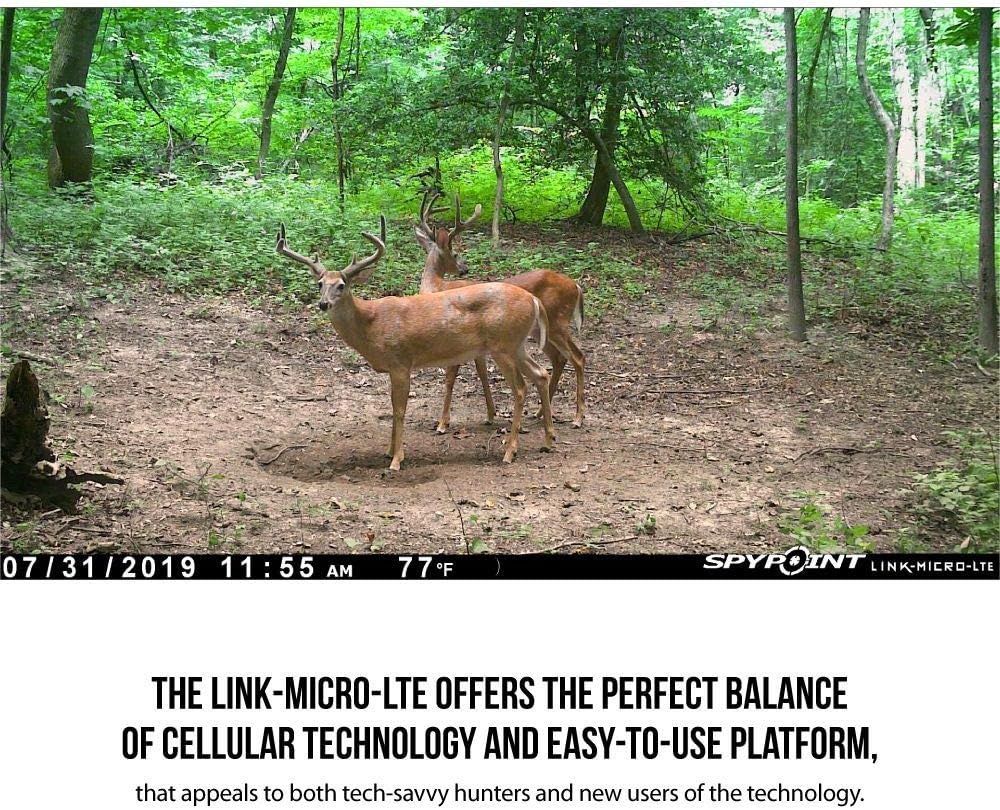 Cellular Trail Camera with Infrared Flash I898