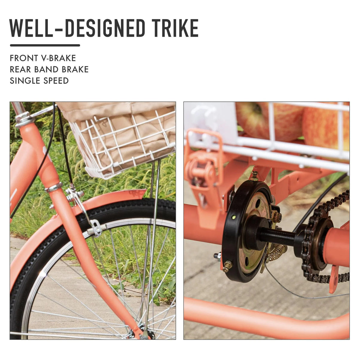 24 Inch Single Speed Adult Tricycle C117