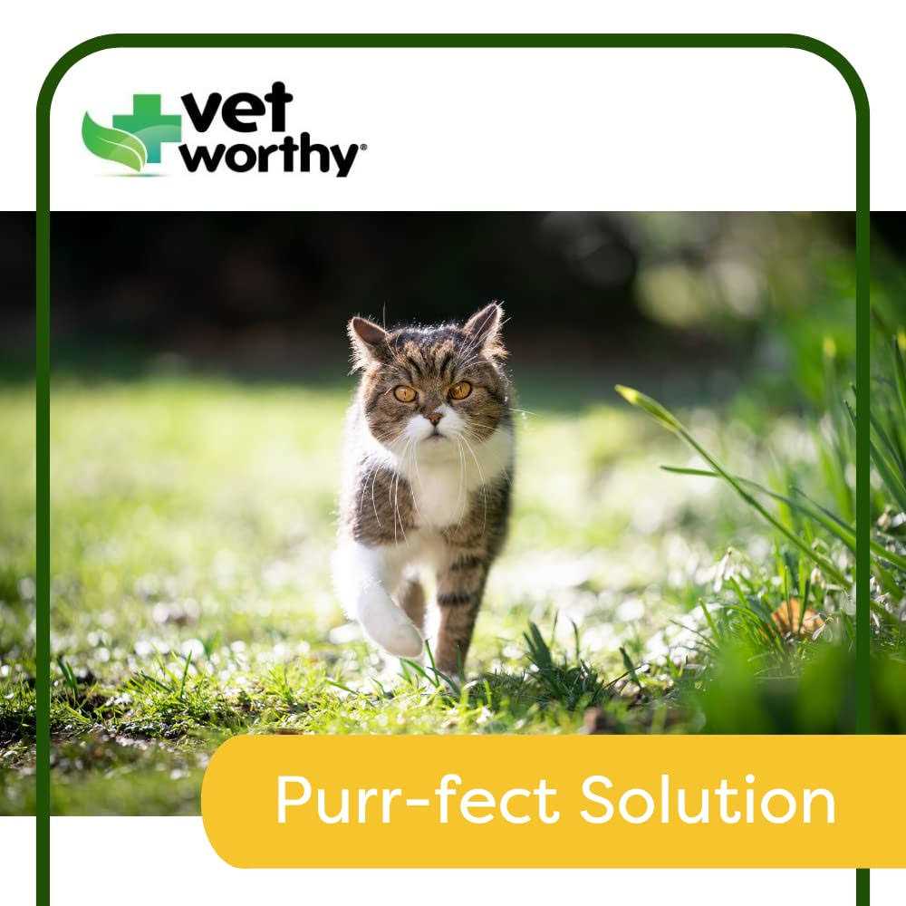 Urinary Aid Soft Chews for Cats X878857