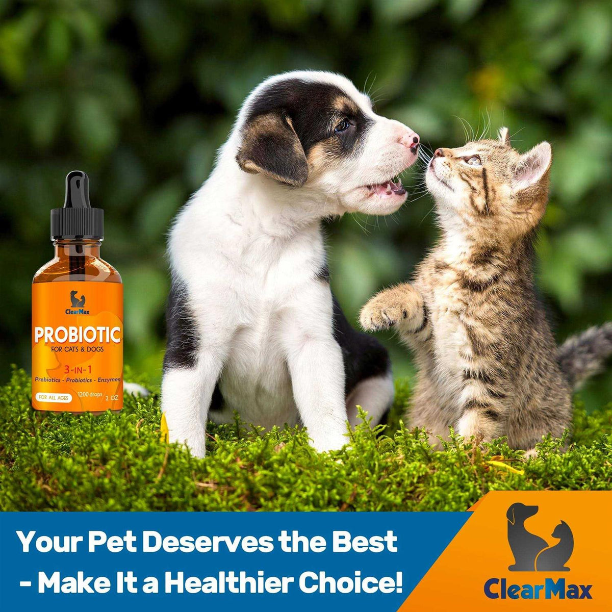 Probiotics for Dogs and Cats N25082
