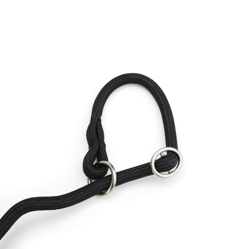 Training Rope Slip Lead for Dogs O4856