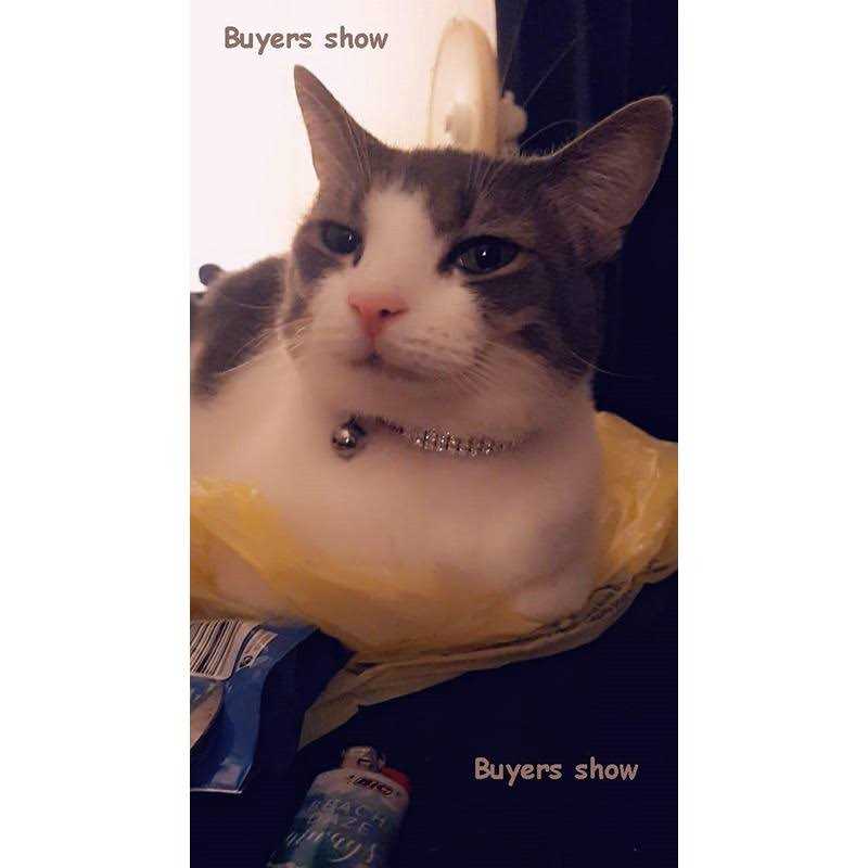 Soft Velvet Adjustable Cat Collar with Bells R576376