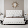 Queen Size Velvet Storage Bed with 4 Drawers Y200013