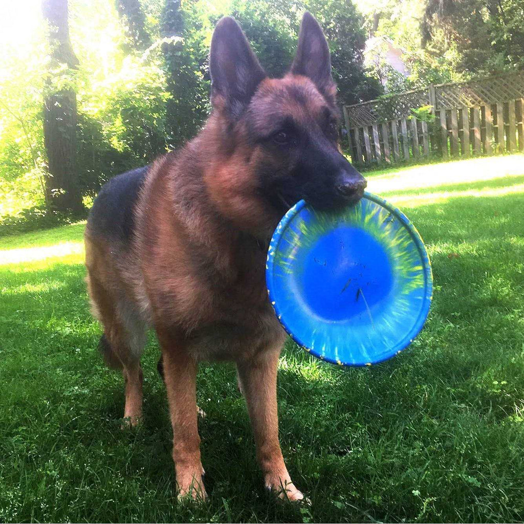 Dog Toy D121758