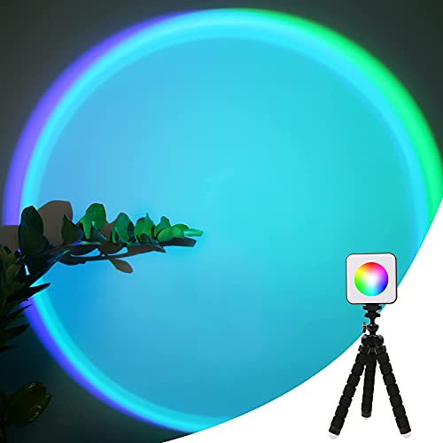 Projection Lamp with Flexible Tripod Stand D443