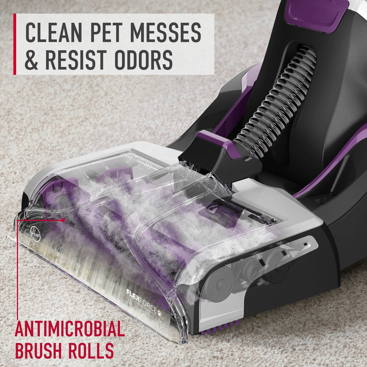 Automatic Upright Carpet Washer M77803
