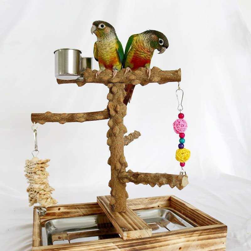 Wood Bird Perch Platform Stand Y2841