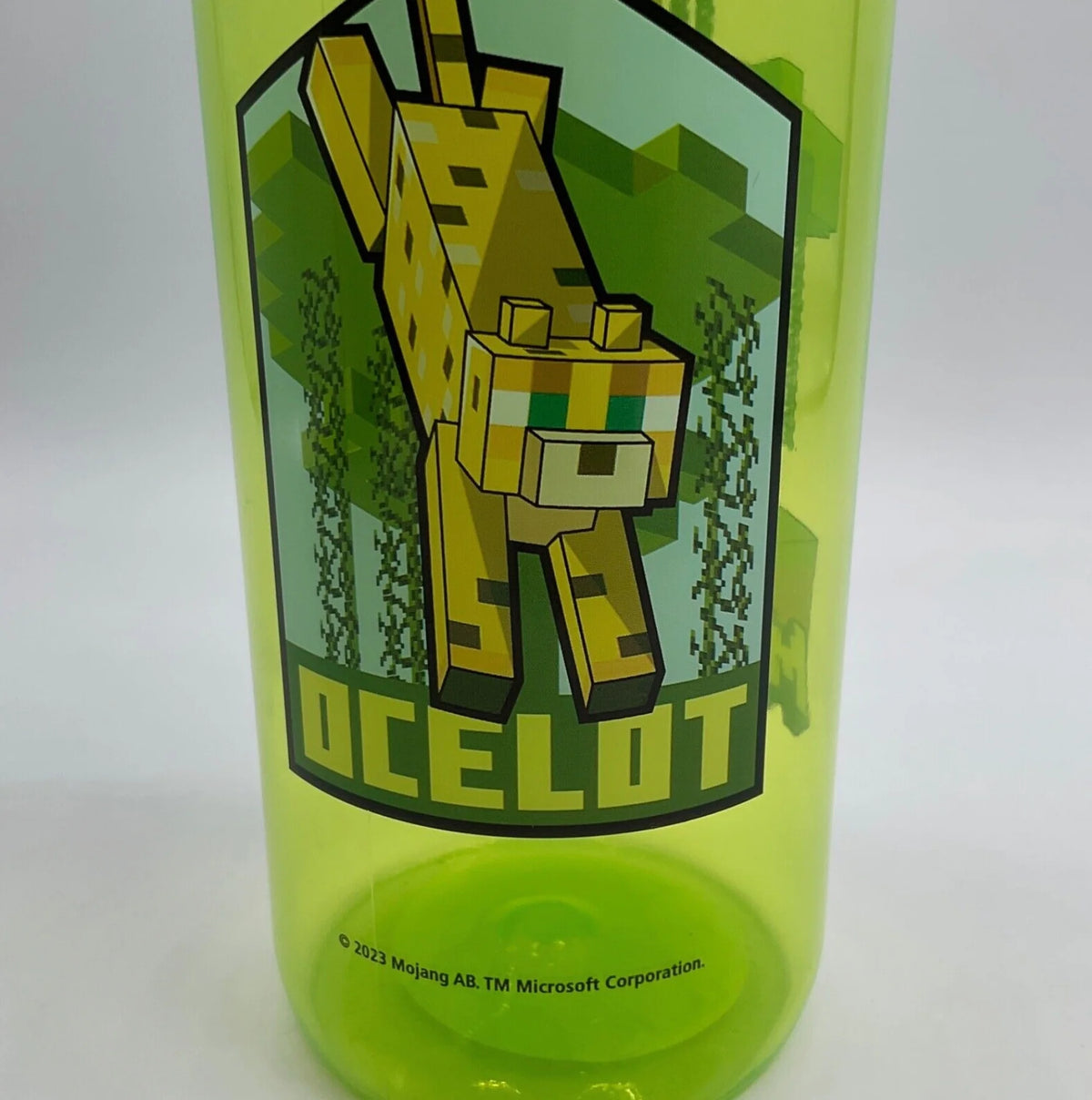 Green Water Bottle 20 oz Reusable Plastic H58794